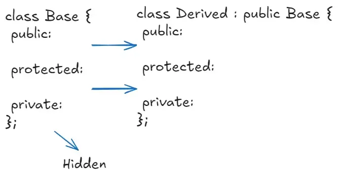 A diagram showing how members from a base class transfer to a derived class publicly