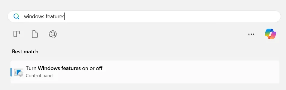 A Windows search result for "windows features"
