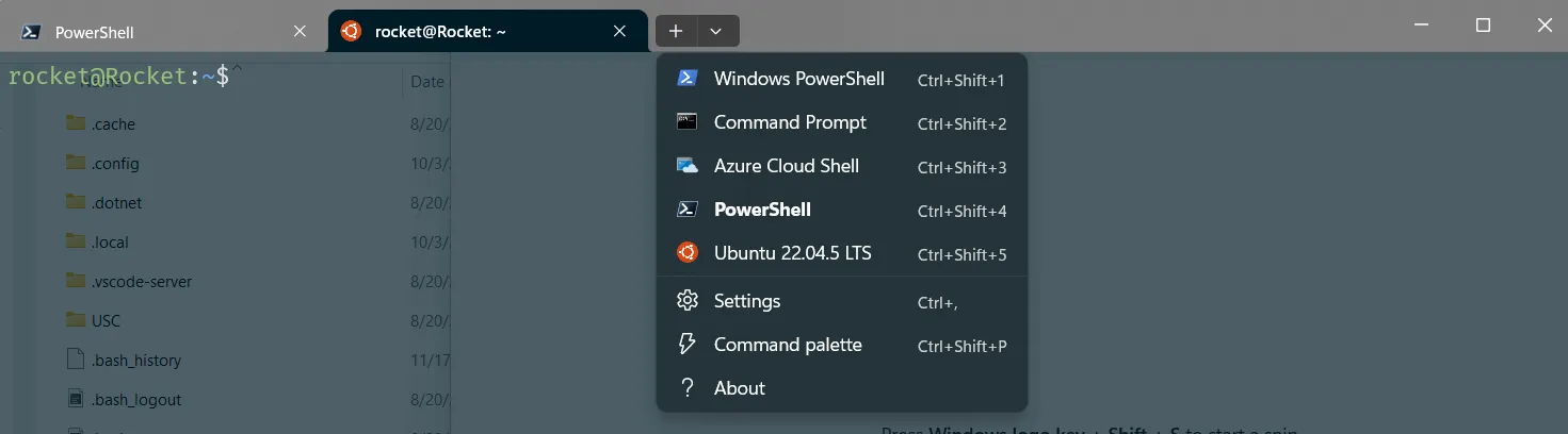 A Windows terminal using the Ubuntu LTS